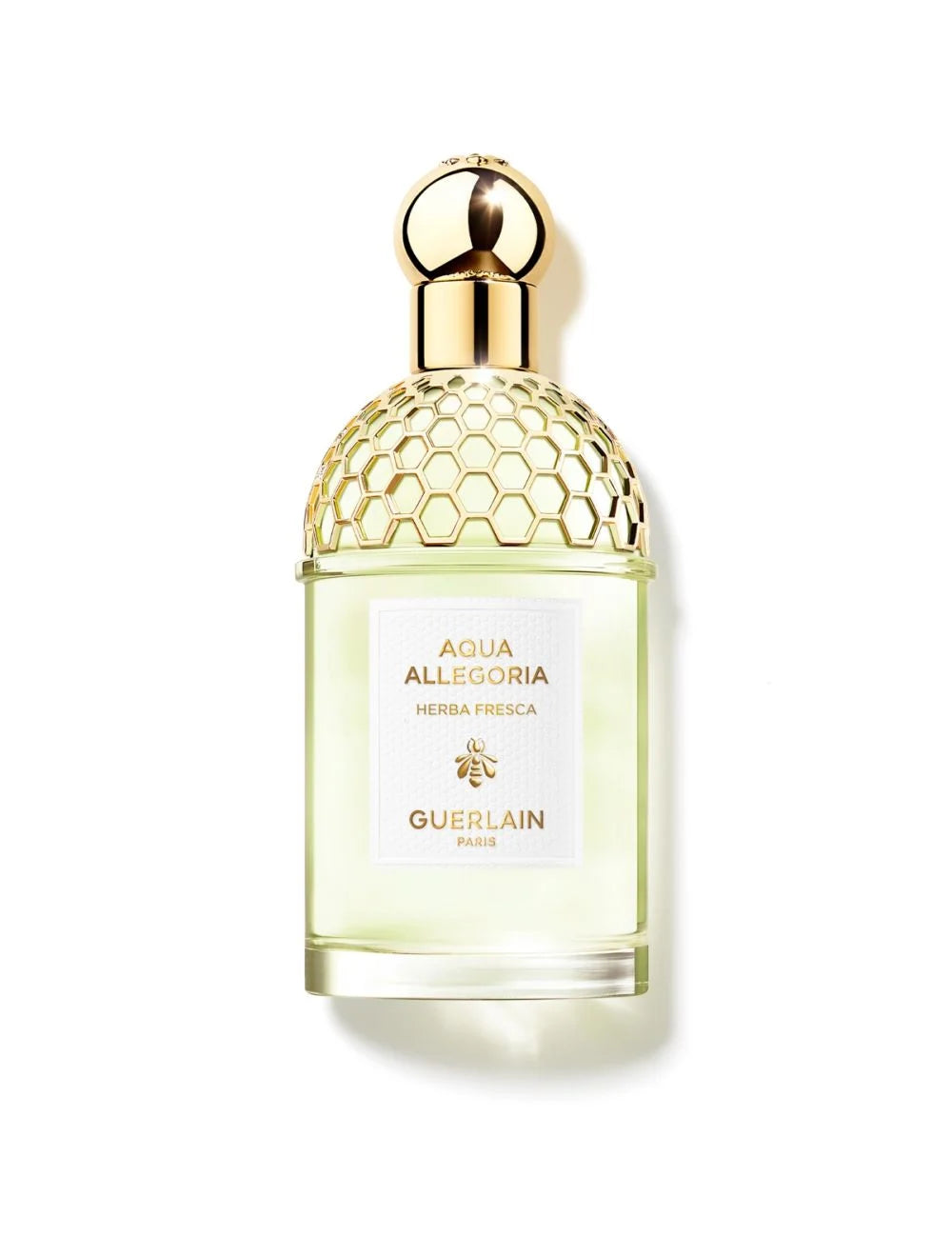 GUERLIN HERBA FRESCA